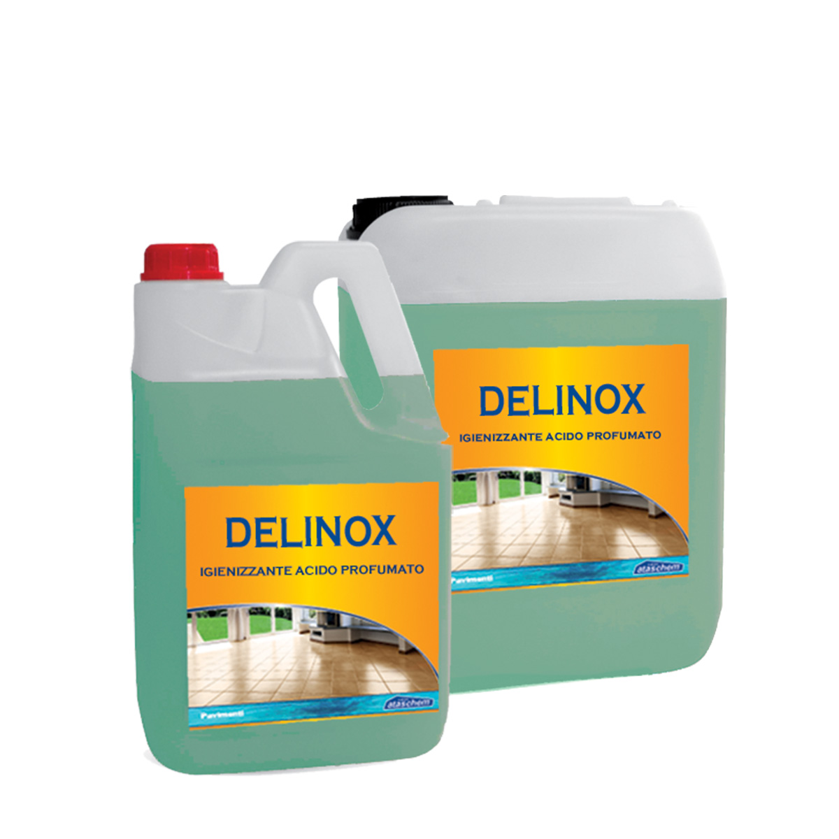 ATASakd2168-12pz -- 000 (6571) Delinox ml 750 igienizzante per sanitari - immagine 1