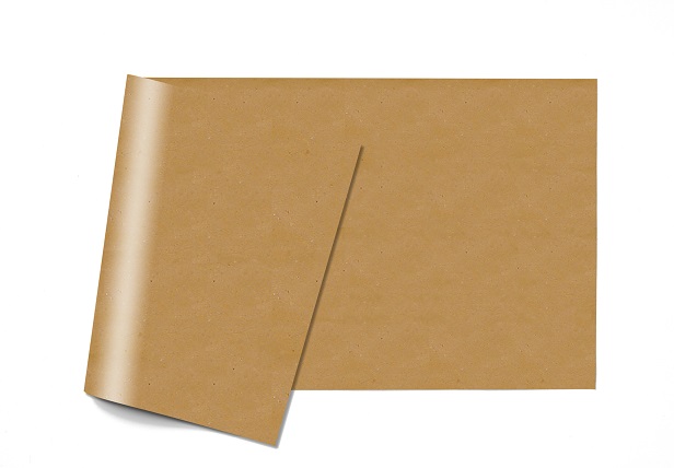 ENERTO40001 -- 000 (8240) Tovaglietta 30x40 CartaPaglia 250 pezzi - immagine 1